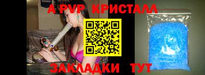 стаф Тара